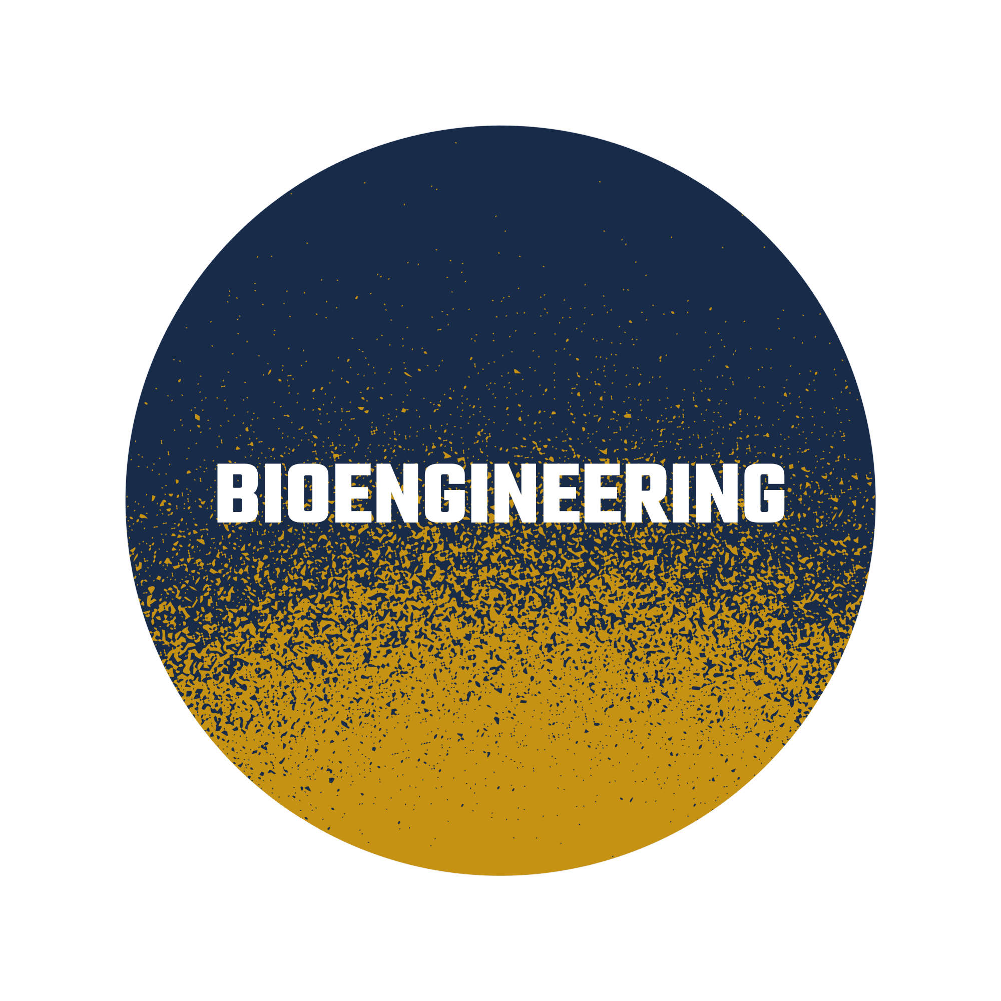 Bioengineering Excellence and Innovation Fund Button Link